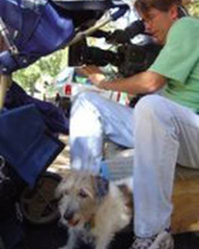 Джош Мортон фото