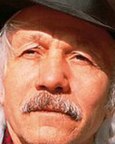 Михай Волонтир фото