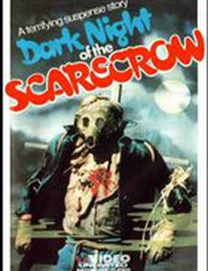 Темная ночь пугала