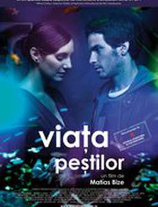 Занимаются ли рыбы любовью?