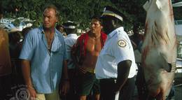 Кадр из фильма "Тварь Питера Бенчли" - 2