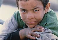 Кадр Али Зауа, принц улицы