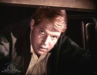 Кадр The Young Animals