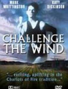 Challenge the Wind