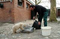 Кадр Кнут и его друзья