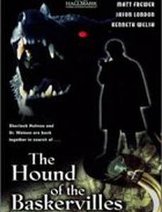 Собака Баскервилей