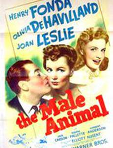 Зверь мужского пола