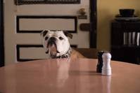 Кадр Патерсон