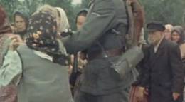 Кадр из фильма "Девочка ищет отца" - 1