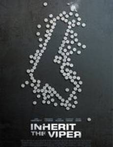 Наследие гадюки