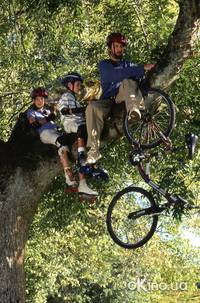 Кадр Дворецкий Боб