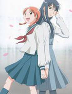 Голубые цветы