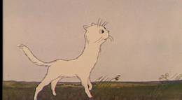 Кадр из фильма "Дерево и кошка" - 1