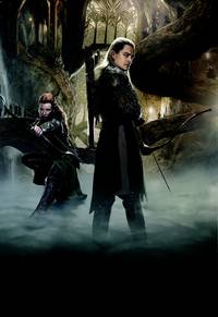 Постер Хоббит: Пустошь Смауга