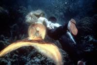 Кадр Всплеск