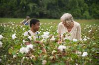 Кадр Дворецкий