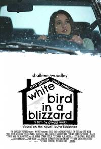Постер Белая птица в метели