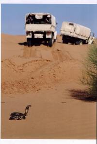 Кадр Личный номер