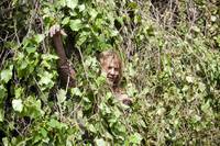 Кадр Ходячие мертвецы