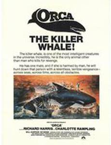 Смерть среди айсбергов