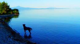 Кадр из фильма "Прощай, речь 3D" - 1