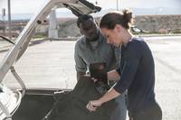 Кадр Убийца (Сикарио)