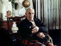 Кадр Обратный отсчет