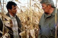 Кадр Следы крови