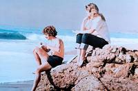 Кадр Бумажная погоня