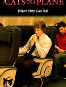 Кошачий полет