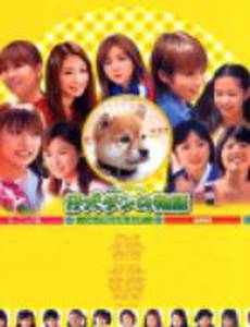 Щенок по кличке «Дан»