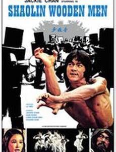 Последнее испытание Шаолиня