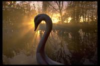 Кадр Властелин колец: Братство кольца