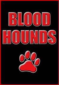 Постер Ищейки