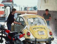 Кадр Свободные