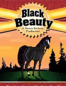 Черный Красавчик