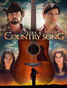 Like a Country Song