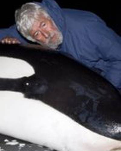 Жан-Мишель Кусто фото