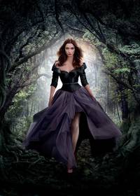 Постер Прекрасные создания