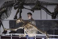 Кадр Ганнибал