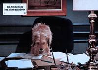 Кадр О, божественный пес!