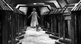 Кадр из фильма "Глаза без лица" - 2