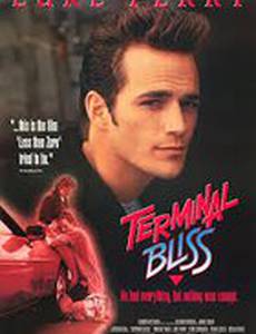 Terminal Bliss