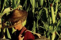 Кадр Семь мечей