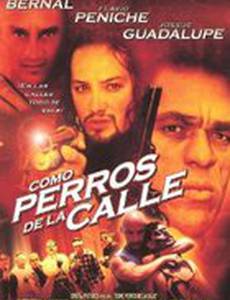 Como perros de la calle