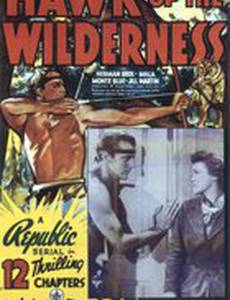 Hawk of the Wilderness