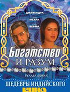 Богатство и разум