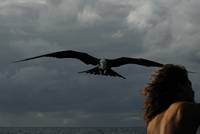 Кадр К морю