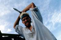 Кадр Кровавый серфинг (видео)