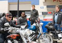 Кадр Реальные кабаны